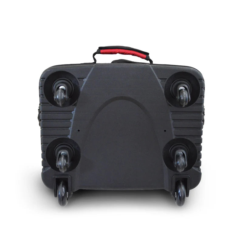 Sac de voyage Big Max IQ2