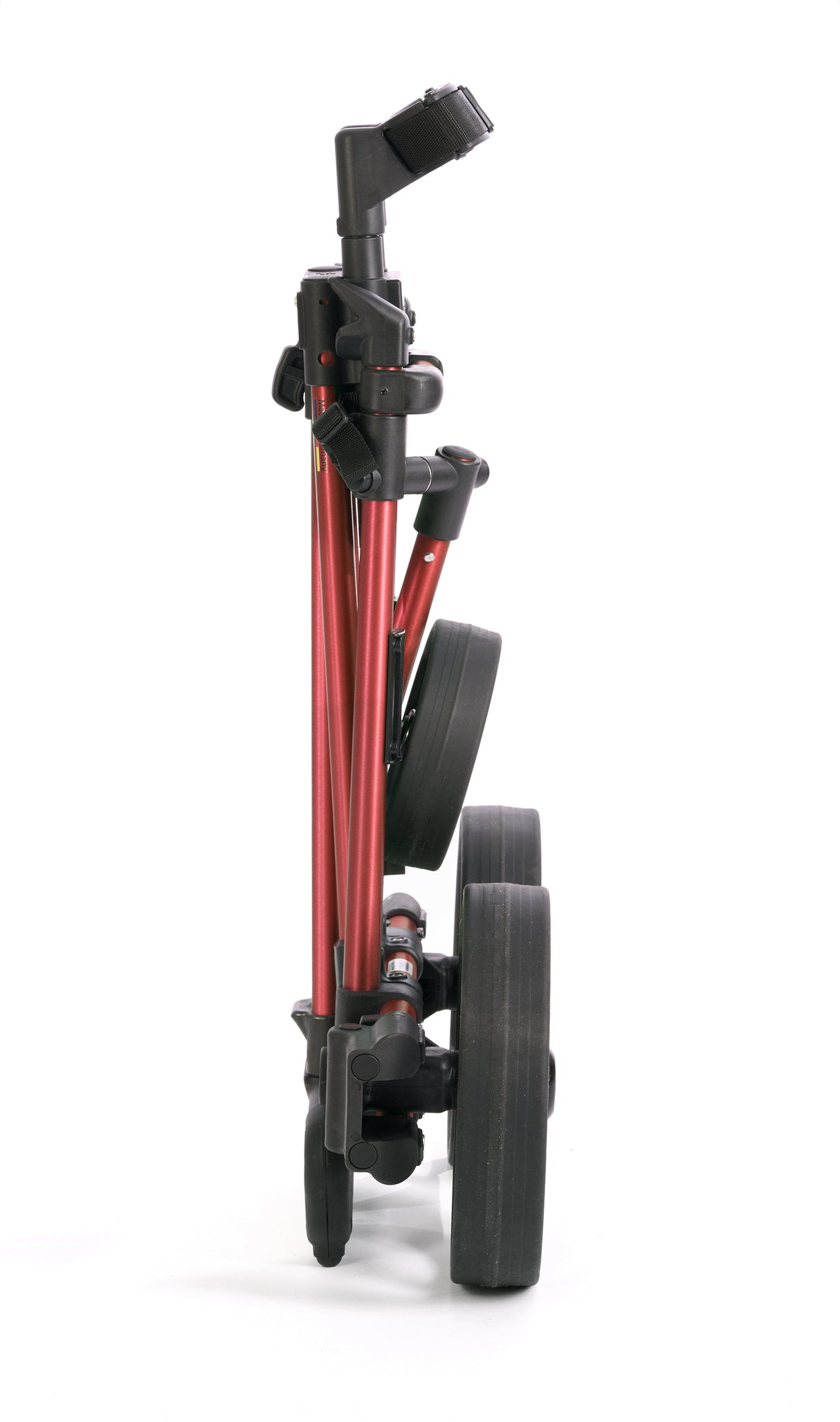 FLAT CAT Gear Elektrotrolley Li-Fi 36 Loch